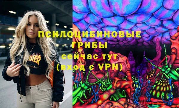 ПСИЛОЦИБИНОВЫЕ ГРИБЫ Абдулино