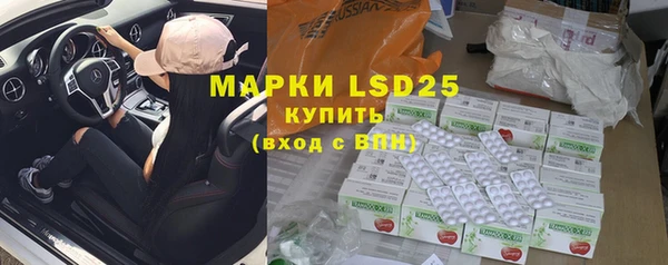 ГАЛЛЮЦИНОГЕННЫЕ ГРИБЫ Абаза